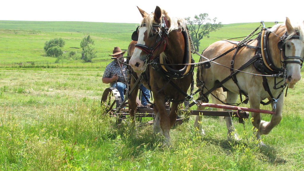 A haymaking demonstration, the old-fashioned way, is coming to Tallgrass Prairie National Preserve/NPS file A haymaking demonstration, the old-fashioned way, is coming to Tallgrass Prairie National Preserve/NPS file