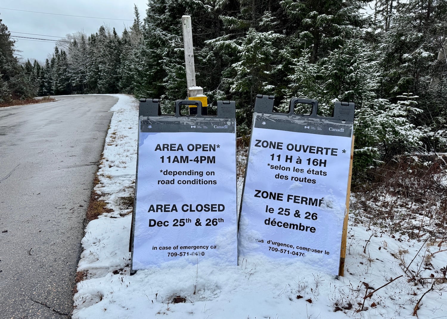 Terra Nova National Park opened one of its roads from Dec. 21 to 31 so birders could look for a rare Steller's Sea Eagle.
