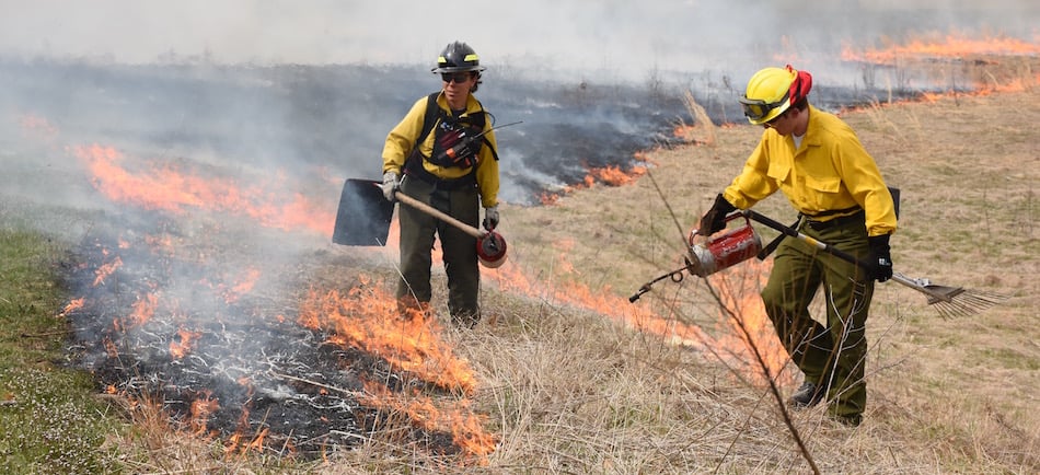 valley forge, burn, fire, prescribed burn, national park