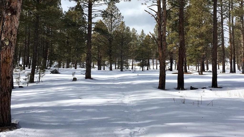 The 10th U.S. Circuit Court of appeals has granted the Jemez Pueblo traditional access to the Banco Bonito area of Valles Caldera National Preserve/NPS file