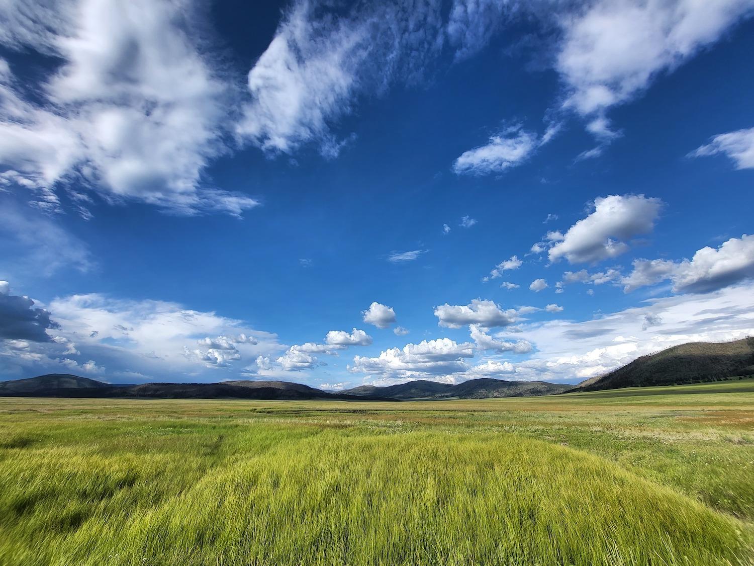 Growing pains have slowed the evolution of Valles Caldera National Preserve as a national park/NPS