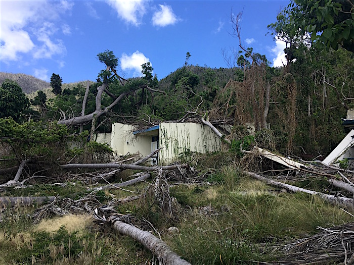 Damaged cottage at Cinnamon Bay, Virgin Islands National Park, photographed this month/News of St. John