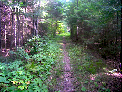 Cruiser Lake Trail after, Voyageurs National Park/NPS Cruiser Lake Trail after, Voyageurs National Park/NPS