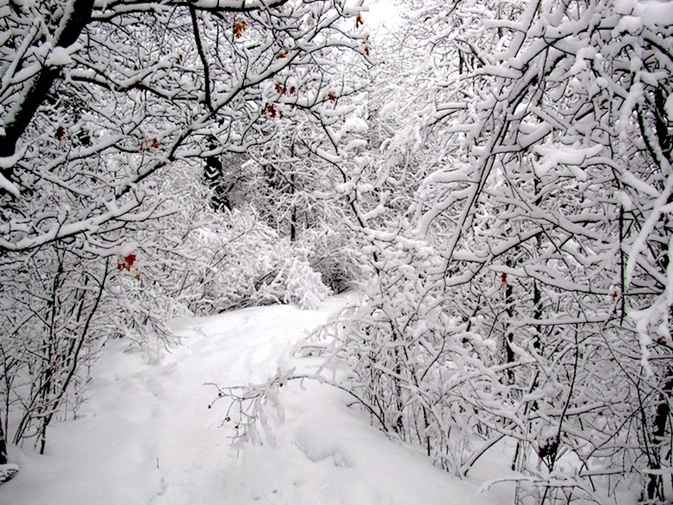 At Voyageurs National Park, winter means hang up your paddles and bring out your skis and snowshoes/NPS file At Voyageurs National Park, winter means hang up your paddles and bring out your skis and snowshoes/NPS file