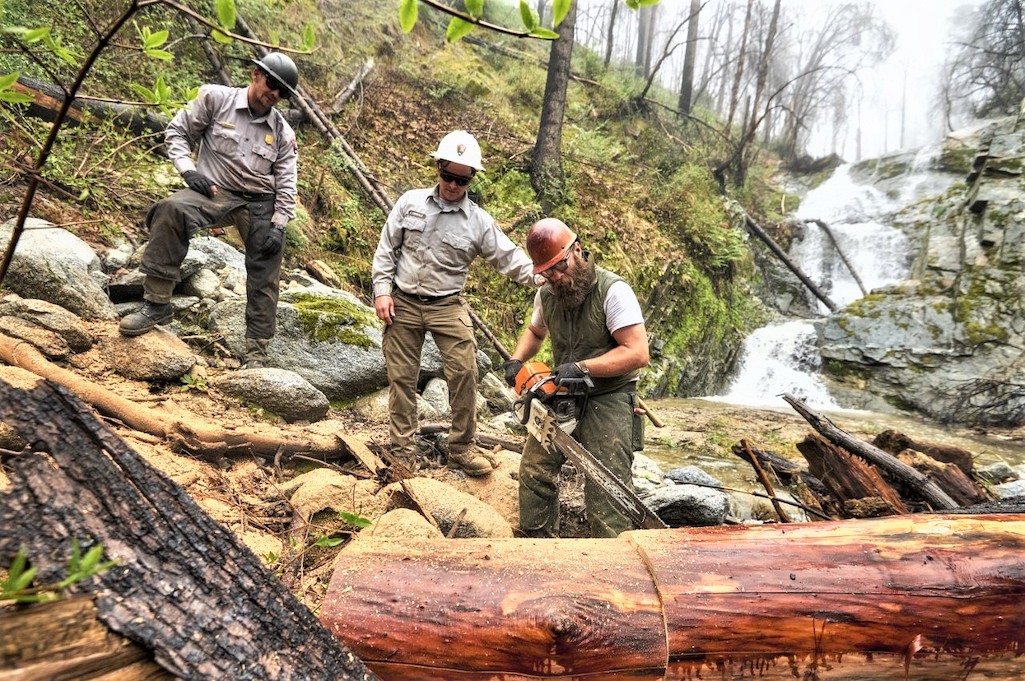 Trees needed to be cleared in many parts of Whiskeytown NRA before the public could be allowed back in/NPS