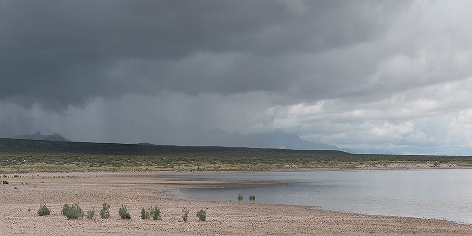 Water in the desert, White Sand Dunes National Park / National Park Service