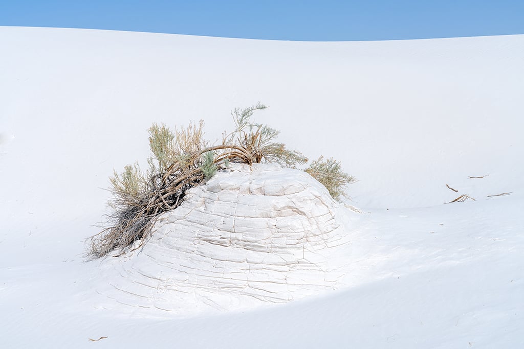 A gypsum sand pedestal, White Sands National Park / Rebecca Latson A gypsum sand pedestal, White Sands National Park / Rebecca Latson