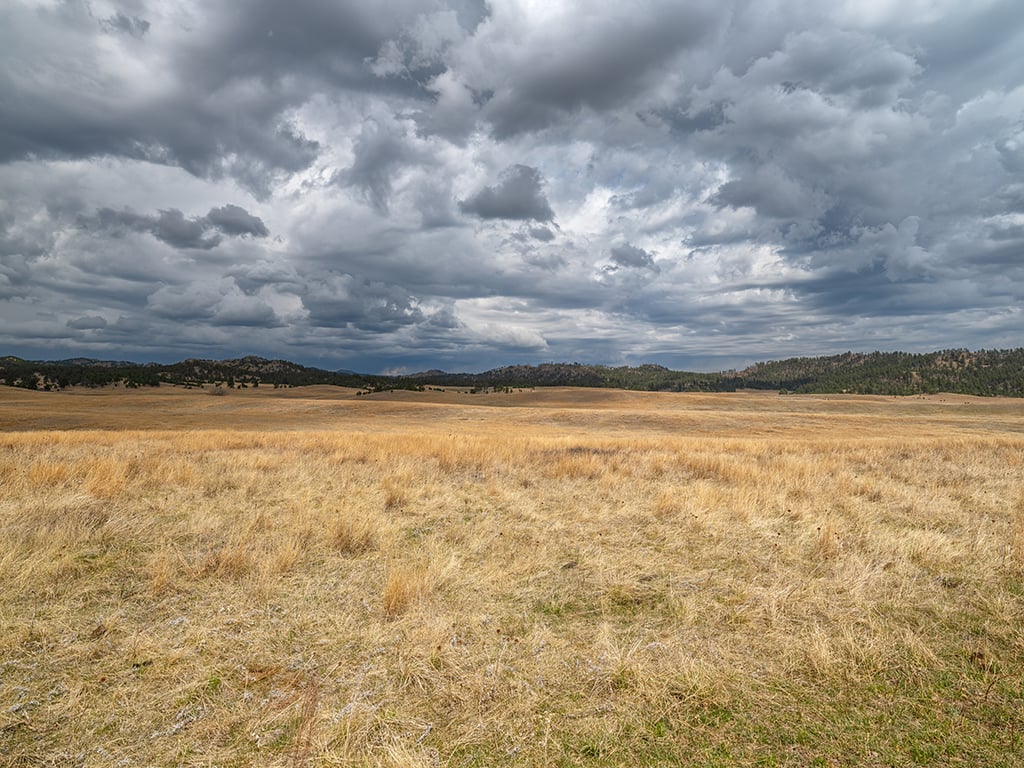 The calm before the storm, Wind Cave National Park / Rebecca Latson The calm before the storm, Wind Cave National Park / Rebecca Latson