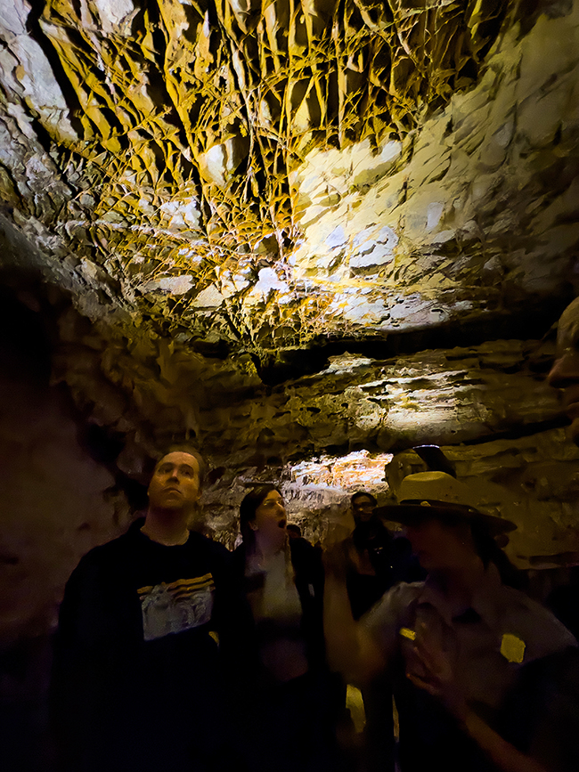 Guided tours of Wind Cave will take you through some amazing cave formations like the boxwork on the ceiling pictured here, Wind Cave National Park / Rebecca Latson Guided tours of Wind Cave will take you through some amazing cave formations like the boxwork on the ceiling pictured here, Wind Cave National Park / Rebecca Latson
