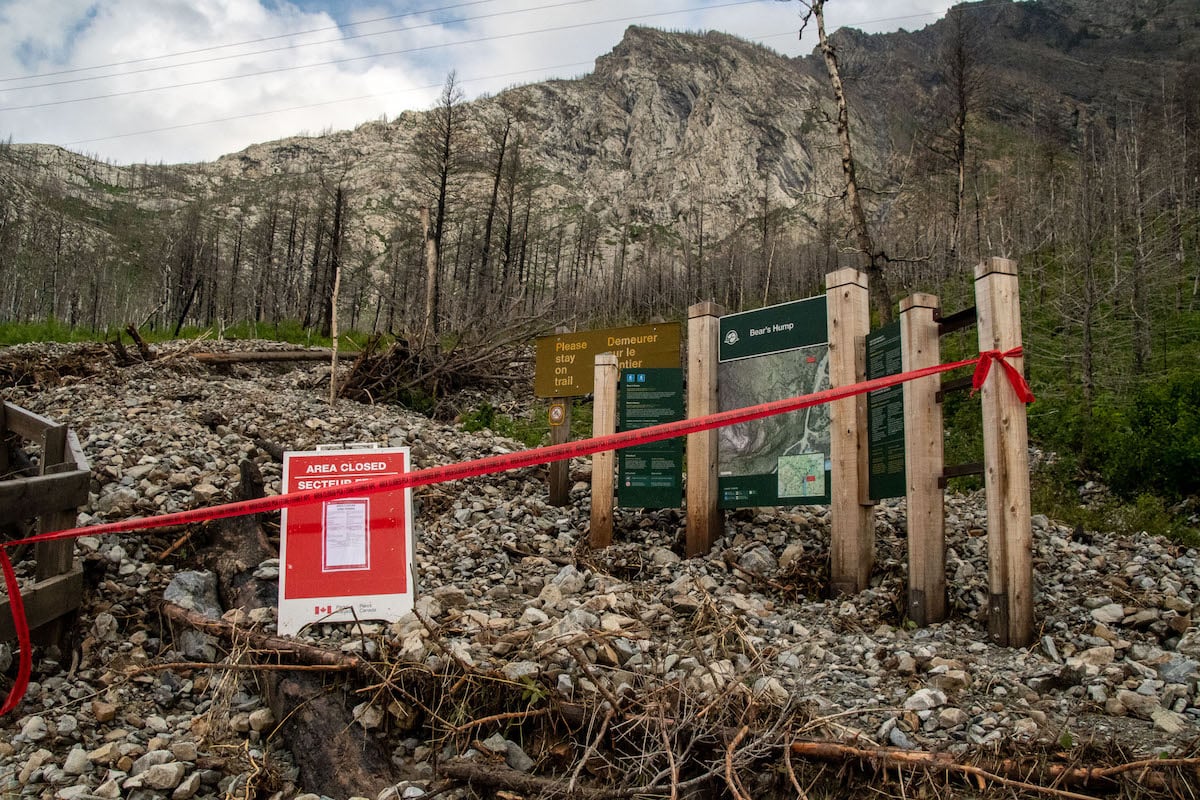 The popular Bear's Hump trail remains closed in Waterton Lakes National Park. The popular Bear's Hump trail remains closed in Waterton Lakes National Park.