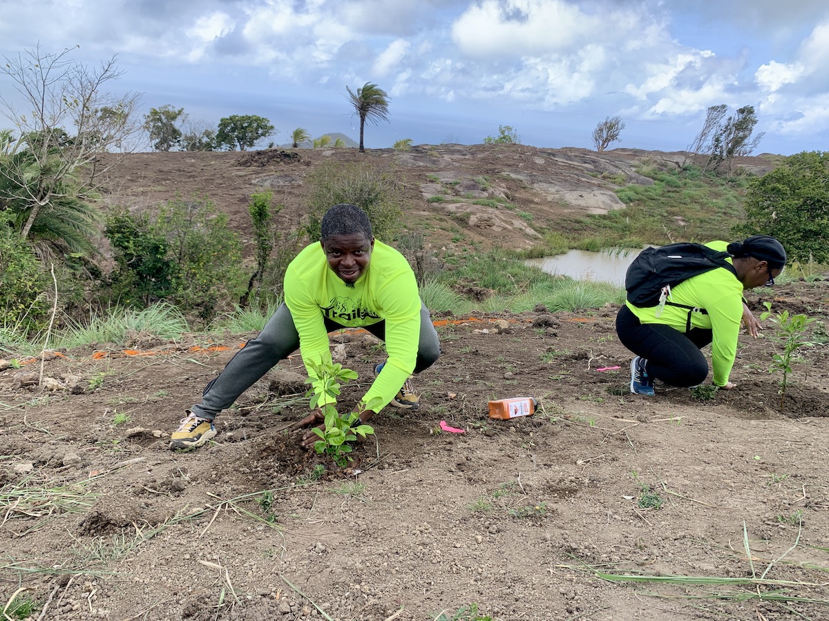 Jermaine Jarvis, left, and other hikers from 268 Trails, plant fruit trees on Signal Hill.