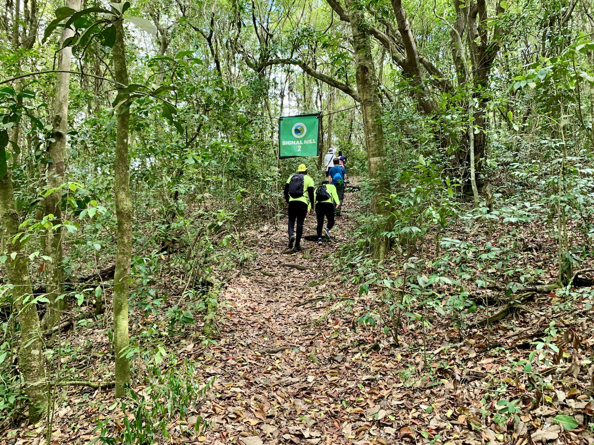 Trails are well-marked with flags at Wallings Nature Reserve.
