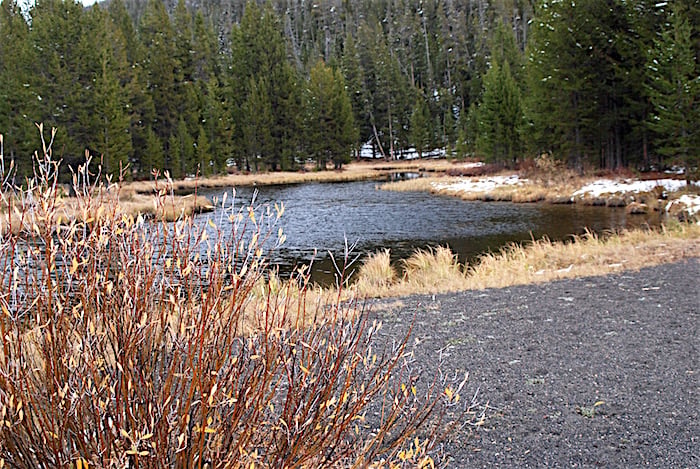 DeLacy Creek at Shoshone shoreline, Yellowstone National Park/Kurt Repanshek DeLacy Creek at Shoshone shoreline, Yellowstone National Park/Kurt Repanshek