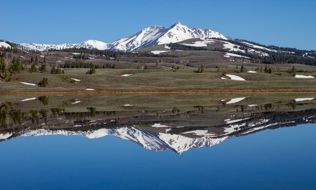 Despite its wondrous landscape and iconic nature, Yellowstone National Park has no officially designated wilderness/NPS file, Diane Renkin Despite its wondrous landscape and iconic nature, Yellowstone National Park has no officially designated wilderness/NPS file, Diane Renkin