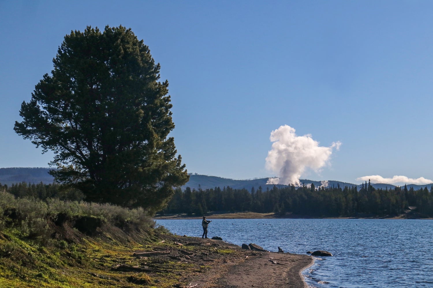 Fishing in Lake Yellowstone/Robert Pahre Fishing in Lake Yellowstone/Robert Pahre