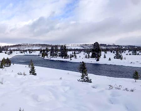 Madison River, Yellowstone National Park/Angie Rayborn