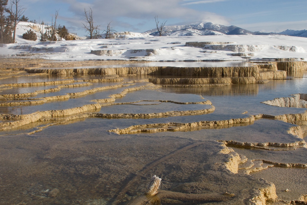 Actor Pierce Brosnan was cited twice for walking in thermal areas near Mammoth Terraces/NPS file, Diane Renkin Actor Pierce Brosnan was cited twice for walking in thermal areas near Mammoth Terraces/NPS file, Diane Renkin