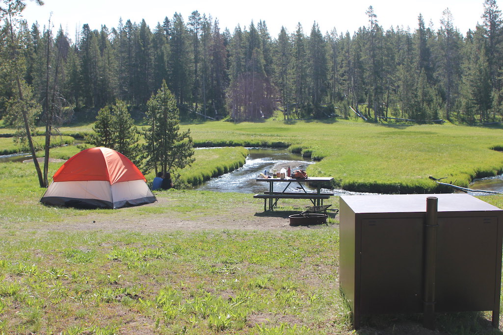 Sholly is not interested in building new campgrounds, or expanding the footprint of existing ones/NPS, Diane Renkin Sholly is not interested in building new campgrounds, or expanding the footprint of existing ones/NPS, Diane Renkin