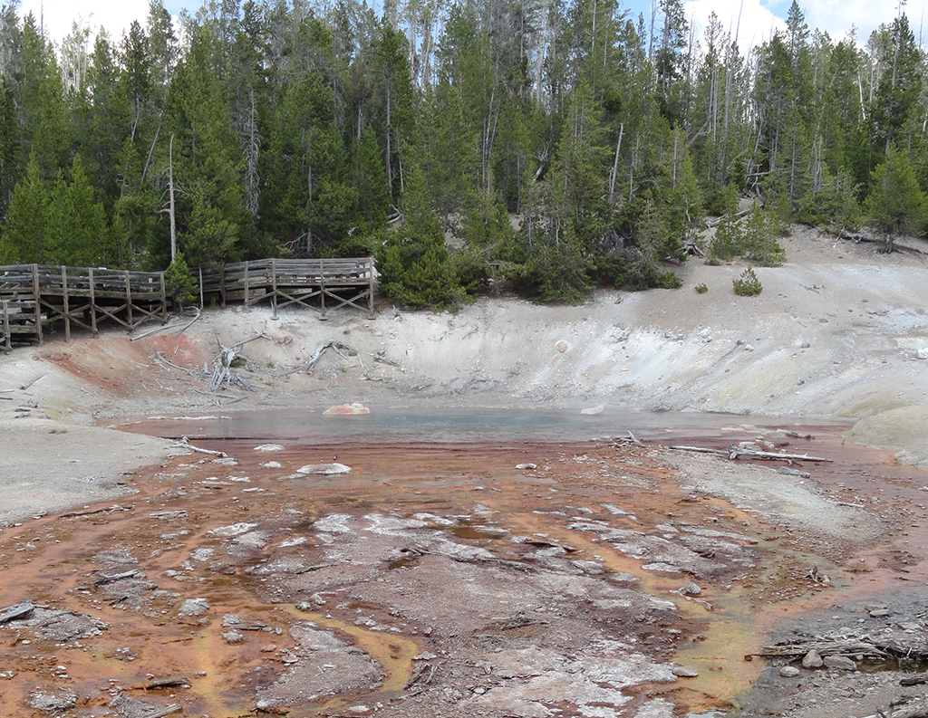 Echinus Geyser at Norris Basin, Yellowstone National Park / NPS - Janine Waller