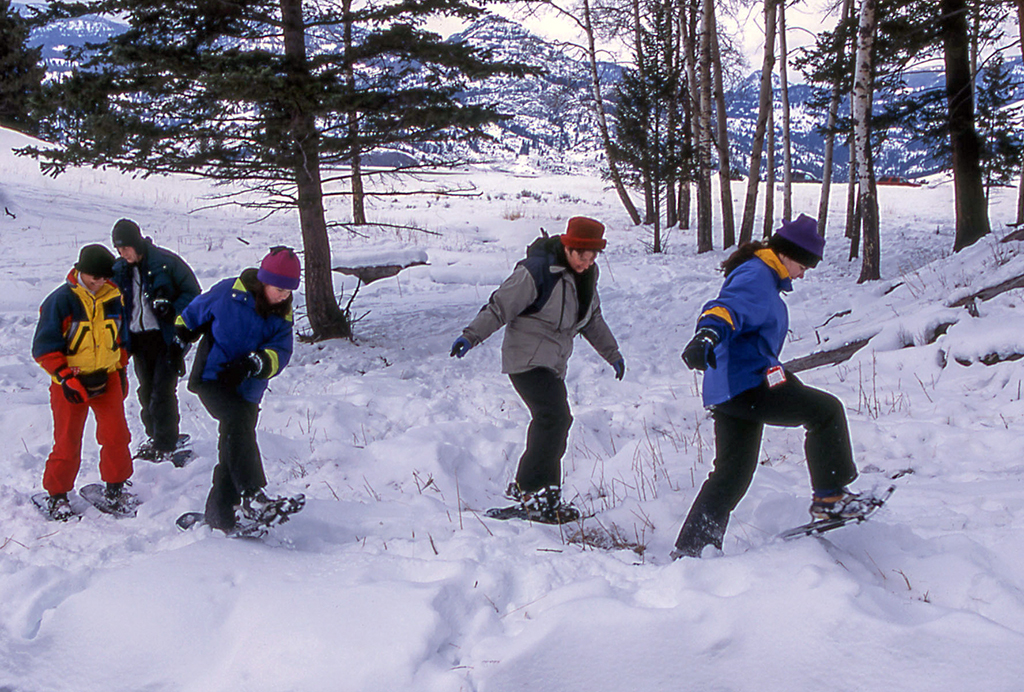 Snowshoers near Hellroaring Trailhead, Yellowstone National Park / NPS - Jim Peaco Snowshoers near Hellroaring Trailhead, Yellowstone National Park / NPS - Jim Peaco