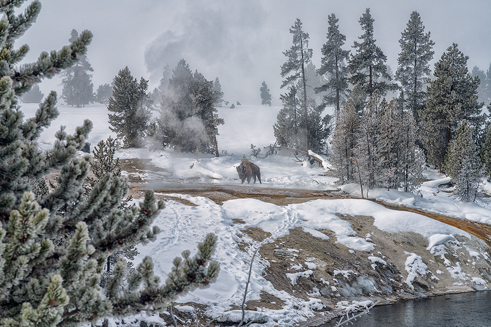 An Upper Geyser Basin winter vista, Yellowstone National Park / Rebecca Latson An Upper Geyser Basin winter vista, Yellowstone National Park / Rebecca Latson