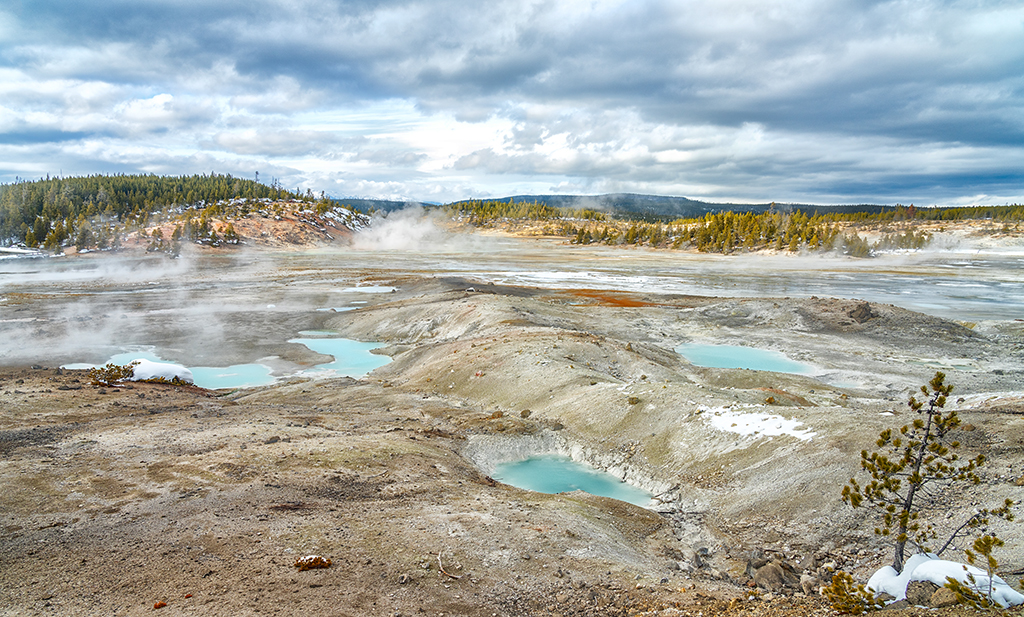 A winter view of Porcelain Basin, Yellowstone National Park / Rebecca Latson