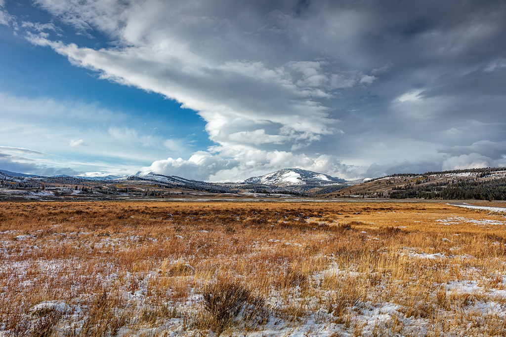 A late autumn afternoon at Swan Lake Flats, Yellowstone National Park / Rebecca Latson
