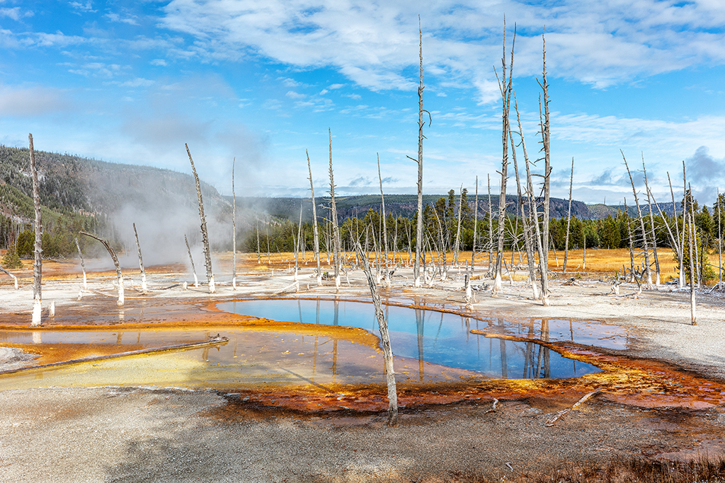 Black Sand Basin landscape, Yellowstone National Park / Rebecca Latson