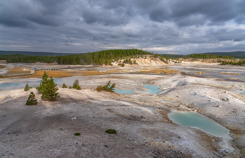 Just what is in those milky-looking pools at Porcelain Basin in Yellowstone National Park? / Rebecca Latson