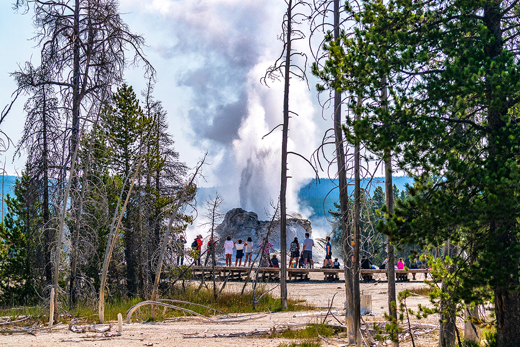 Watching Castle Geyser erupt, Upper Geyser Basin, Yellowstone National Park / Rebecca Latson
