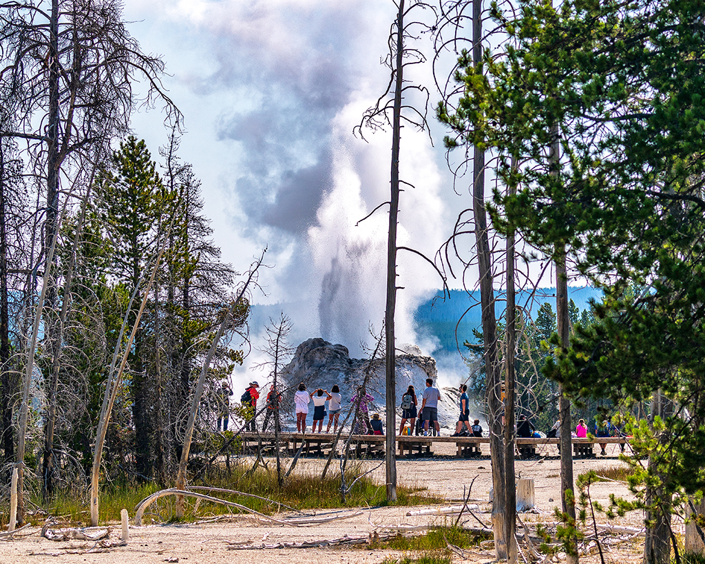 Castle Geyser erupting at Upper Geyser Basin, Yellowstone National Park / Rebecca Latson Castle Geyser erupting at Upper Geyser Basin, Yellowstone National Park / Rebecca Latson