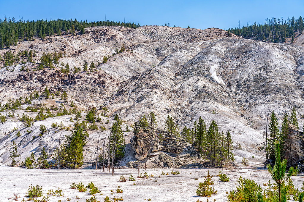 Roaring Mountain, Yellowstone National Park / Rebecca Latson