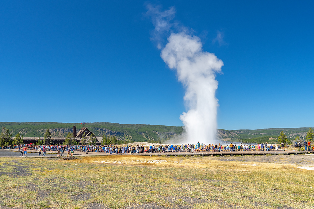 Summer crowds watching Old Faithful erupt at Upper Geyser Basin, Yellowstone National Park / Rebecca Latson Summer crowds watching Old Faithful erupt at Upper Geyser Basin, Yellowstone National Park / Rebecca Latson