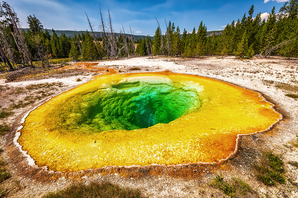 The brilliant colors of Morning Glory Pool, Upper Geyser Basin, Yellowstone National Park / Rebecca Latson