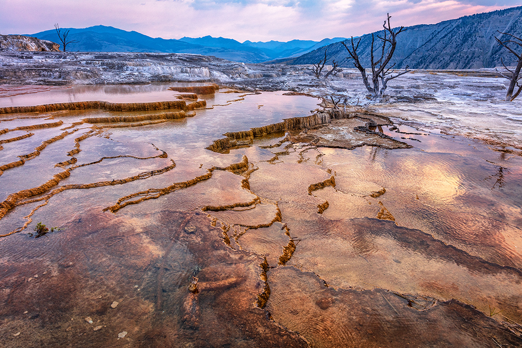 Travertine-terraced springs - no polarizer, Mammoth Hot Springs, Yellowstone National Park / Rebecca Latson