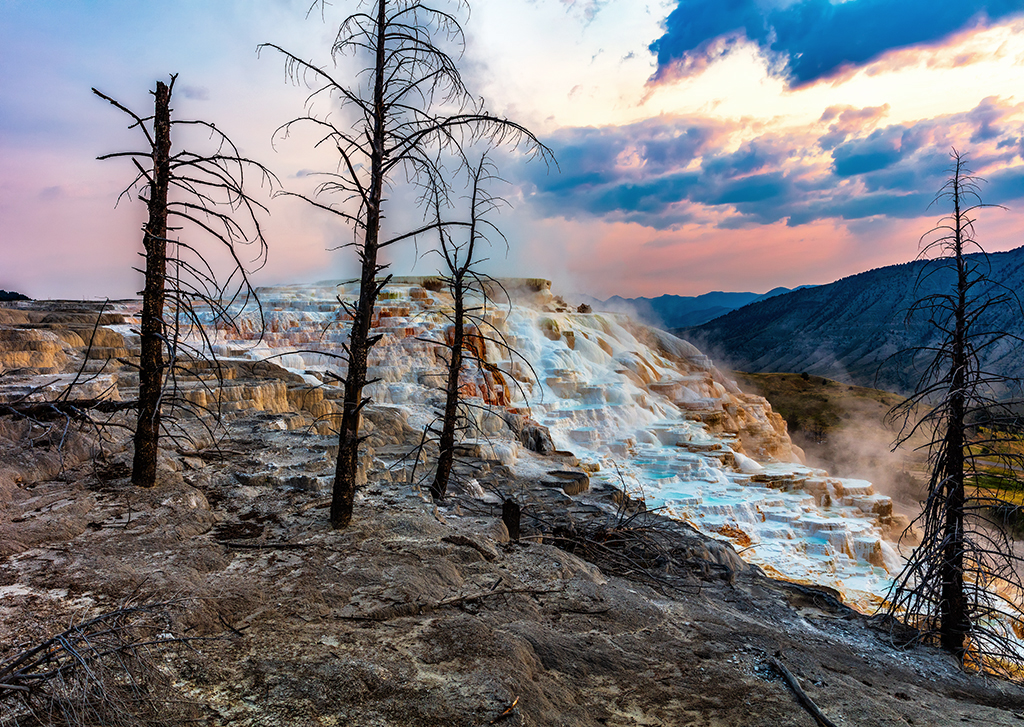 Canary Spring, Yellowstone National Park / Rebecca Latson