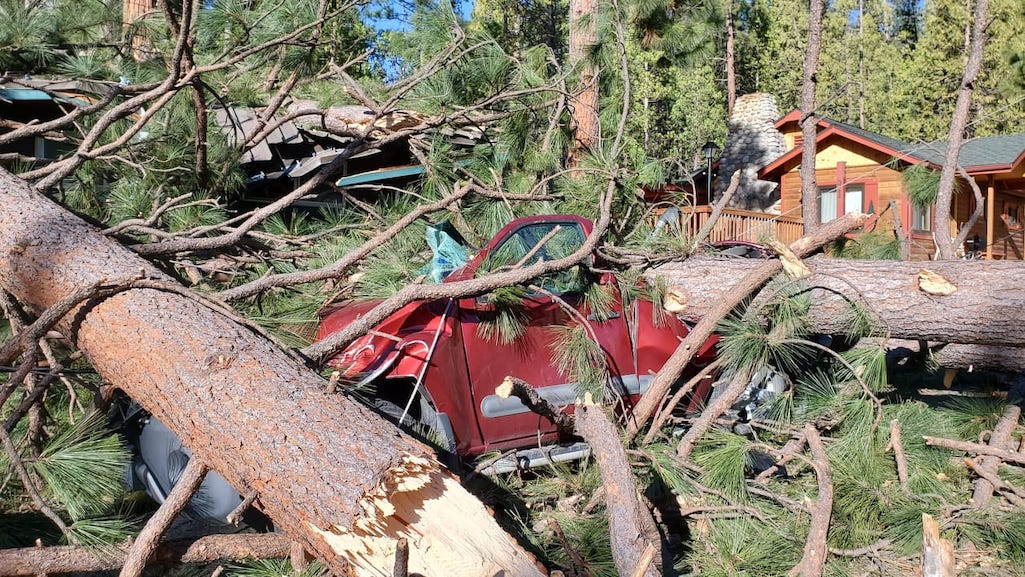 Falling trees damaged vehicles in the park/NPS Falling trees damaged vehicles in the park/NPS