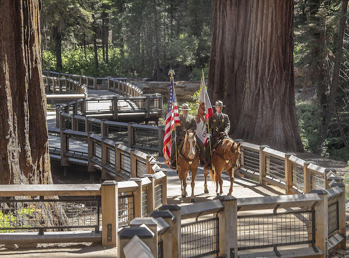 Mounted rangers present the colors at Yosemite's Mariposa Grove of Giant Sequoias/NPS Mounted rangers present the colors at Yosemite's Mariposa Grove of Giant Sequoias/NPS