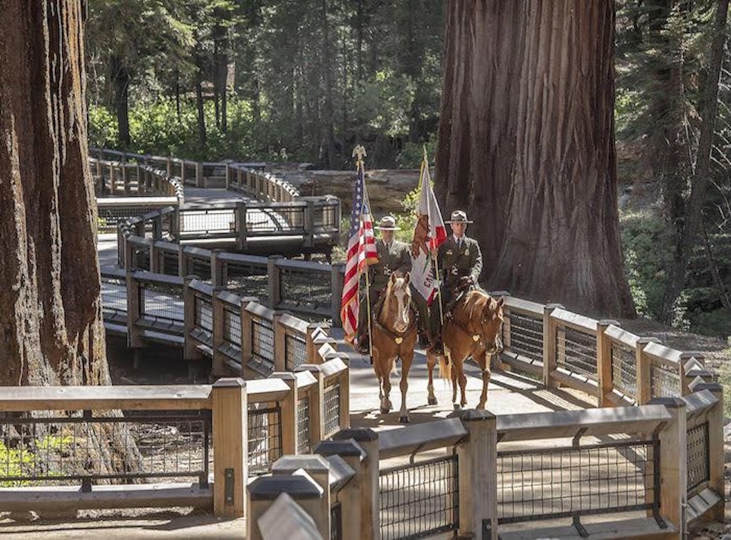The Yosemite Conservancy provided $20 million to help the National Park Service restore the Mariposa Grove of Sequoias at Yosemite National Park. It is just one example of the vital role friends groups and cooperating associations provide parks/NPS file The Yosemite Conservancy provided $20 million to help the National Park Service restore the Mariposa Grove of Sequoias at Yosemite National Park. It is just one example of the vital role friends groups and cooperating associations provide parks/NPS file