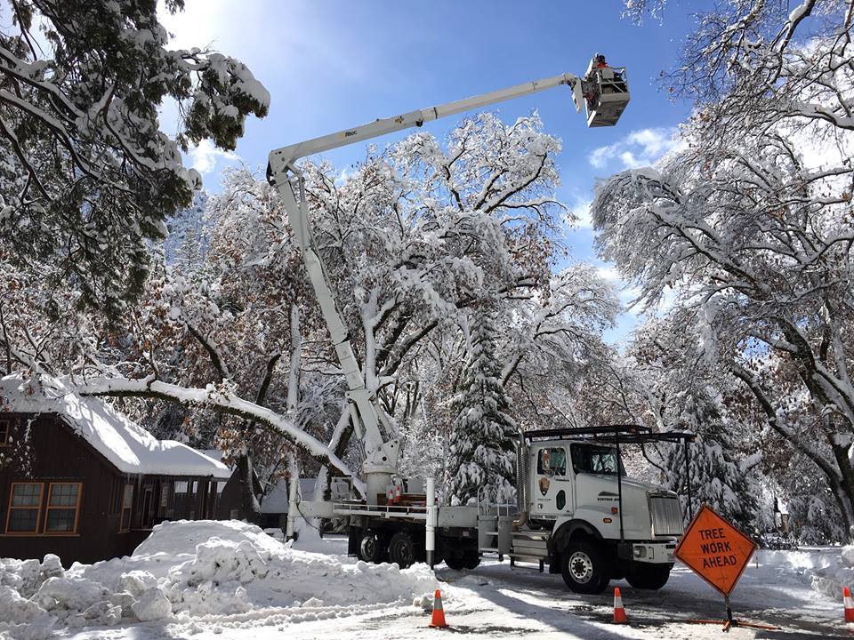 Tree workers remove a fallen oak from NPS employee housing.