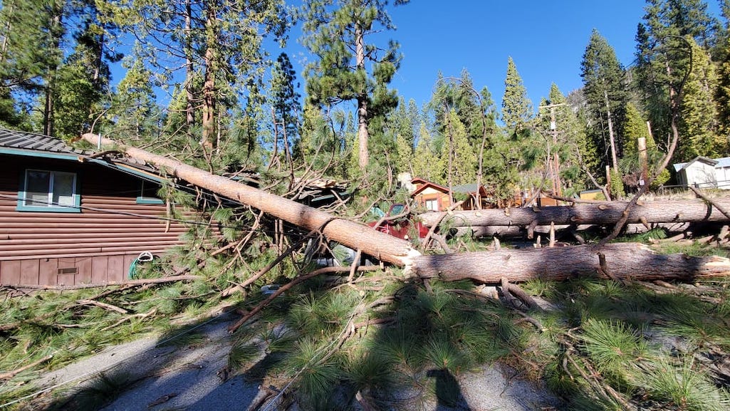 Buildings in the Wawona area also were damaged by the wind storm/NPS Buildings in the Wawona area also were damaged by the wind storm/NPS