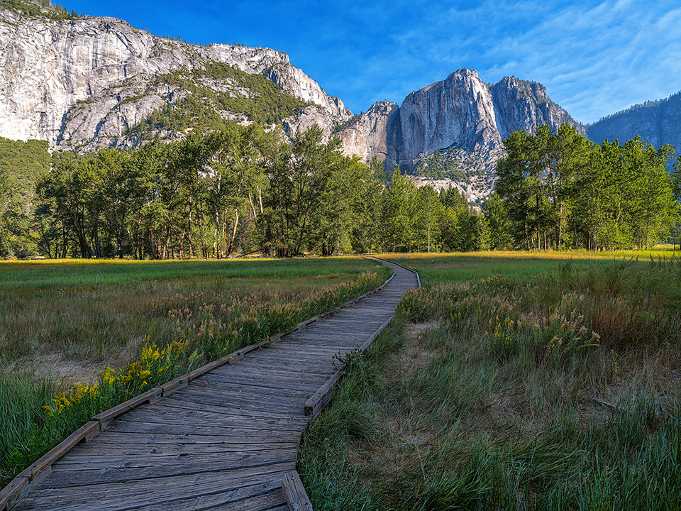 The boardwalk over the meadow, Yosemite National Park / Rebecca Latson The boardwalk over the meadow, Yosemite National Park / Rebecca Latson