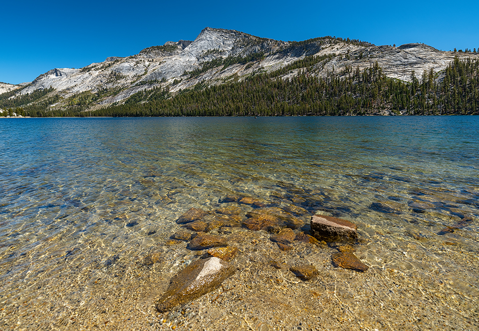 The crystal-clear water of Tenaya Lake, Yosemite National Park / Rebecca Latson The crystal-clear water of Tenaya Lake, Yosemite National Park / Rebecca Latson