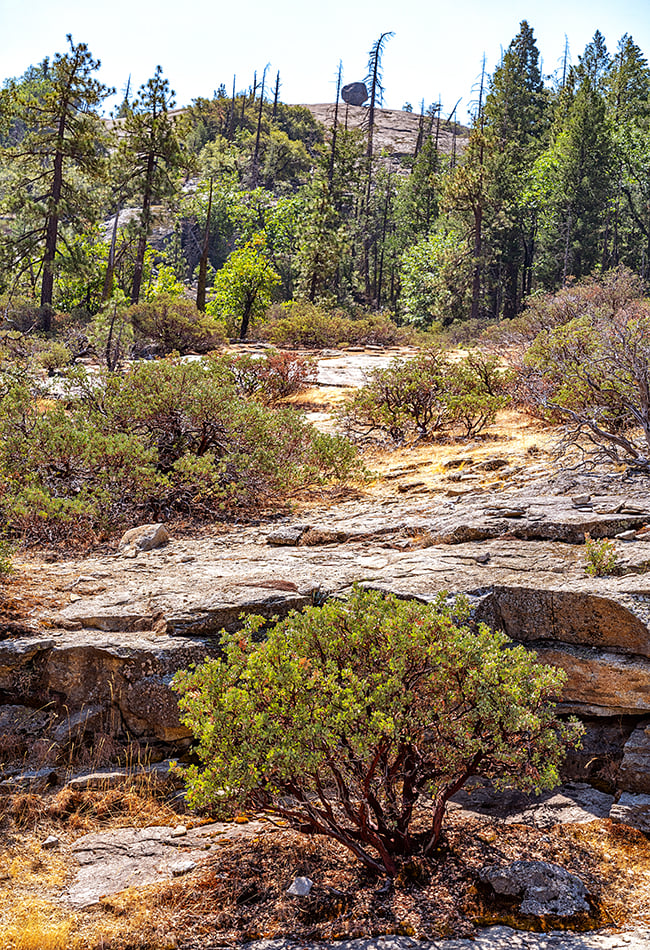 While rock fall is unexpected, it's still a good idea to assess your surroundings, including looking up to see if there is anything that might "rock" and roll downward in Yosemite National Park / Rebecca Latson