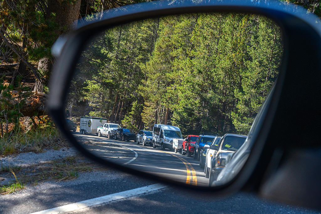 Line forms at Yosemite
