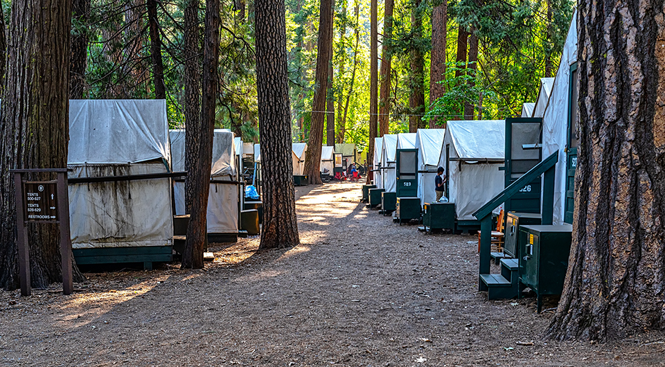 The tents of Curry Village, Yosemite National Park / Rebecca Latson