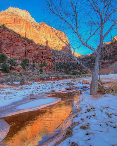 Lower Pine Creek in Zion National Park/Jean Bjerke Lower Pine Creek in Zion National Park/Jean Bjerke