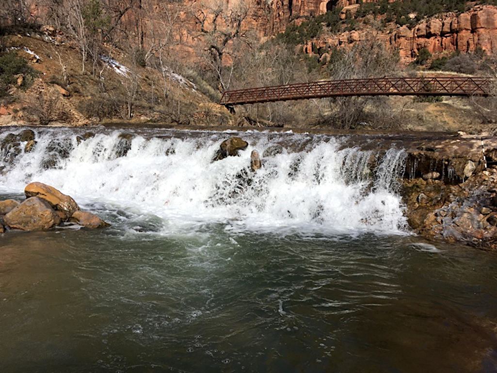 Birch Creek Dam on the Virgin River in Zion National Park. Originally a small dam that protected a pipe across the river, time and erosion have now made the drop a 15 feet high complete barrier to fish to be remedied by BIL funding/NPS