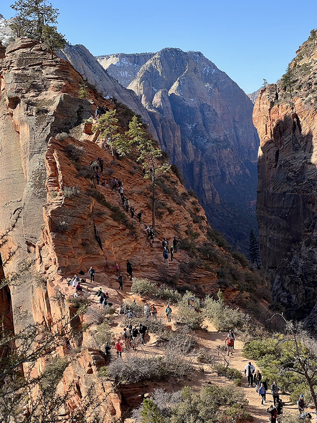 Hikers on the last leg of the Angels Landing Trail, Zion National Park / NPS - Abi Farish