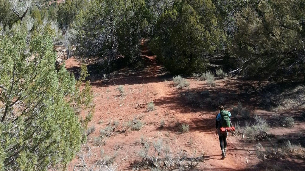 Backcountry hiking in Zion National Park / NPS file